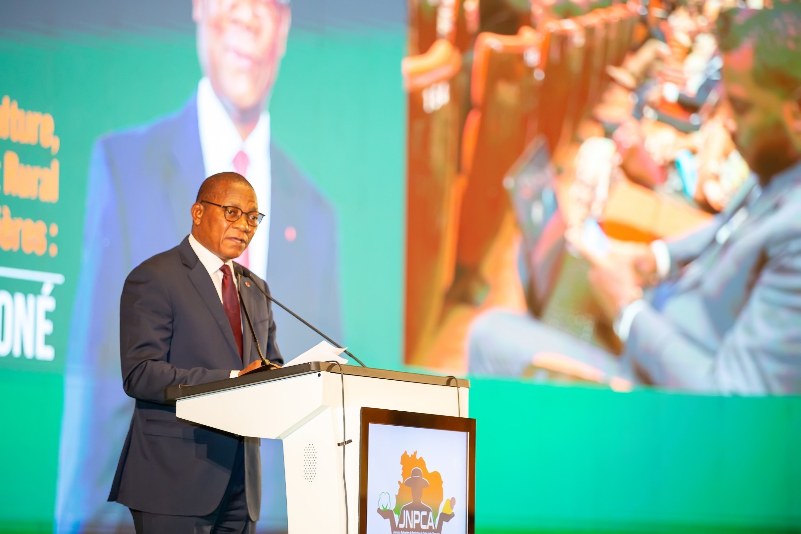 Côte d’Ivoire | Filière anacarde